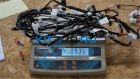 ���� �������� ������ �����