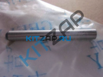 ����� �������� ����������  _����_0