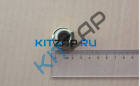 ������� ��������  